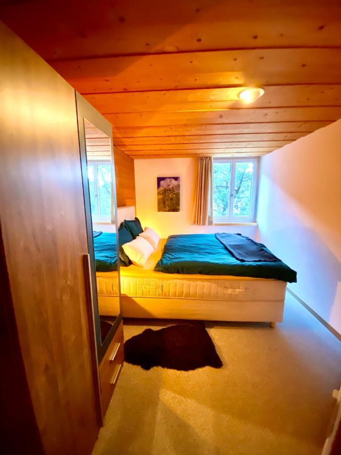 Appartement Aareschlucht- Grandiose Aussicht Fuer 2-6 Pers. ไมริงเงน ภายนอก รูปภาพ