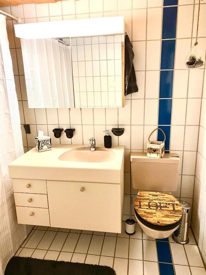 Appartement Aareschlucht- Grandiose Aussicht Fuer 2-6 Pers. ไมริงเงน ภายนอก รูปภาพ